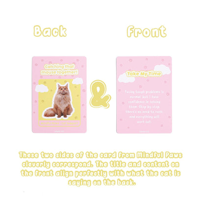 Mindful Paws - Cat Support Front & Back