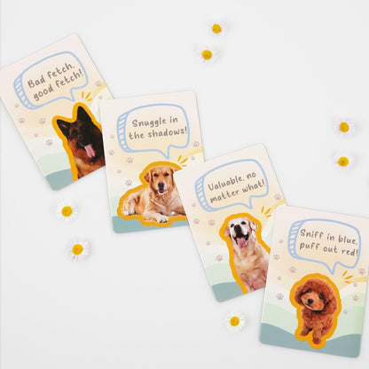 MINDFUL PAWS Detail Image